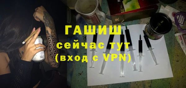 spice Богородицк