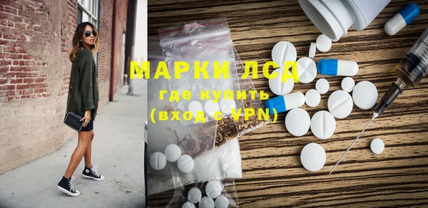 spice Богородицк