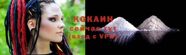spice Богородицк