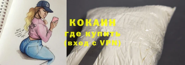 spice Богородицк