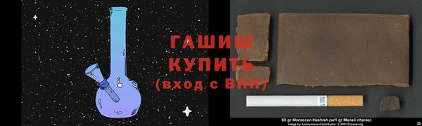 spice Богородицк