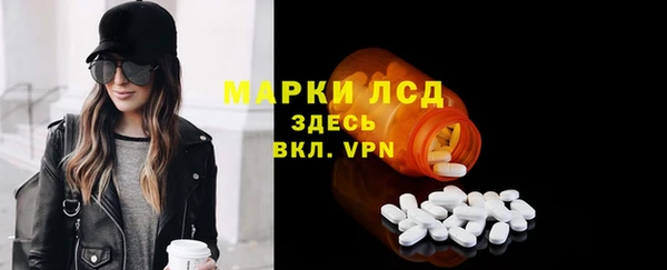spice Богородицк