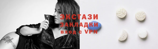 дживик Богородск