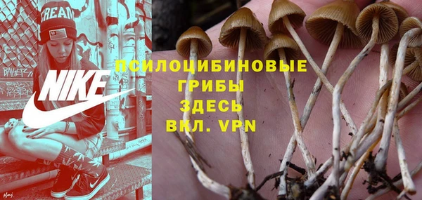 гашишное масло Богданович