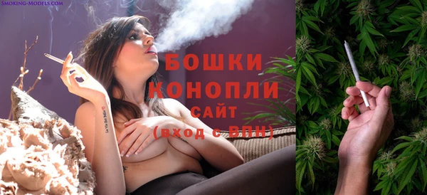 spice Богородицк