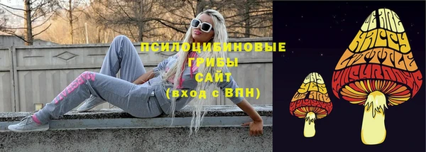 дживик Богородск