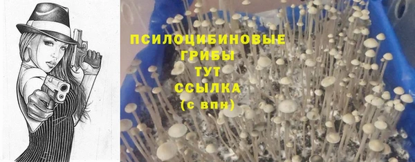 дживик Богородск