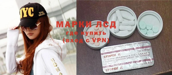 spice Богородицк