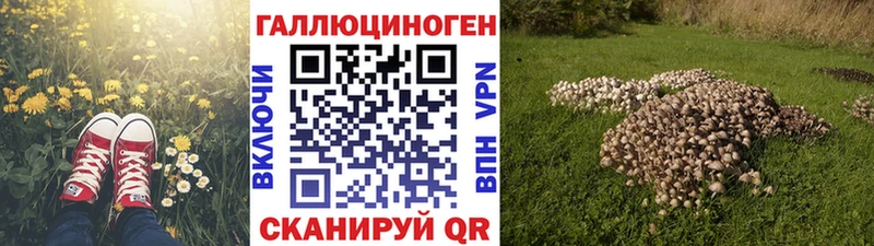 маркетплейс формула  Хилок  Галлюциногенные грибы мухоморы  где можно купить наркотик 